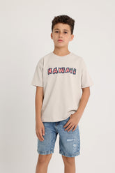 HAWAII Shark Club Grey T-shirt