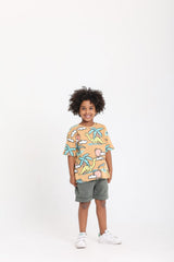 Dinosours Era Set - Havan