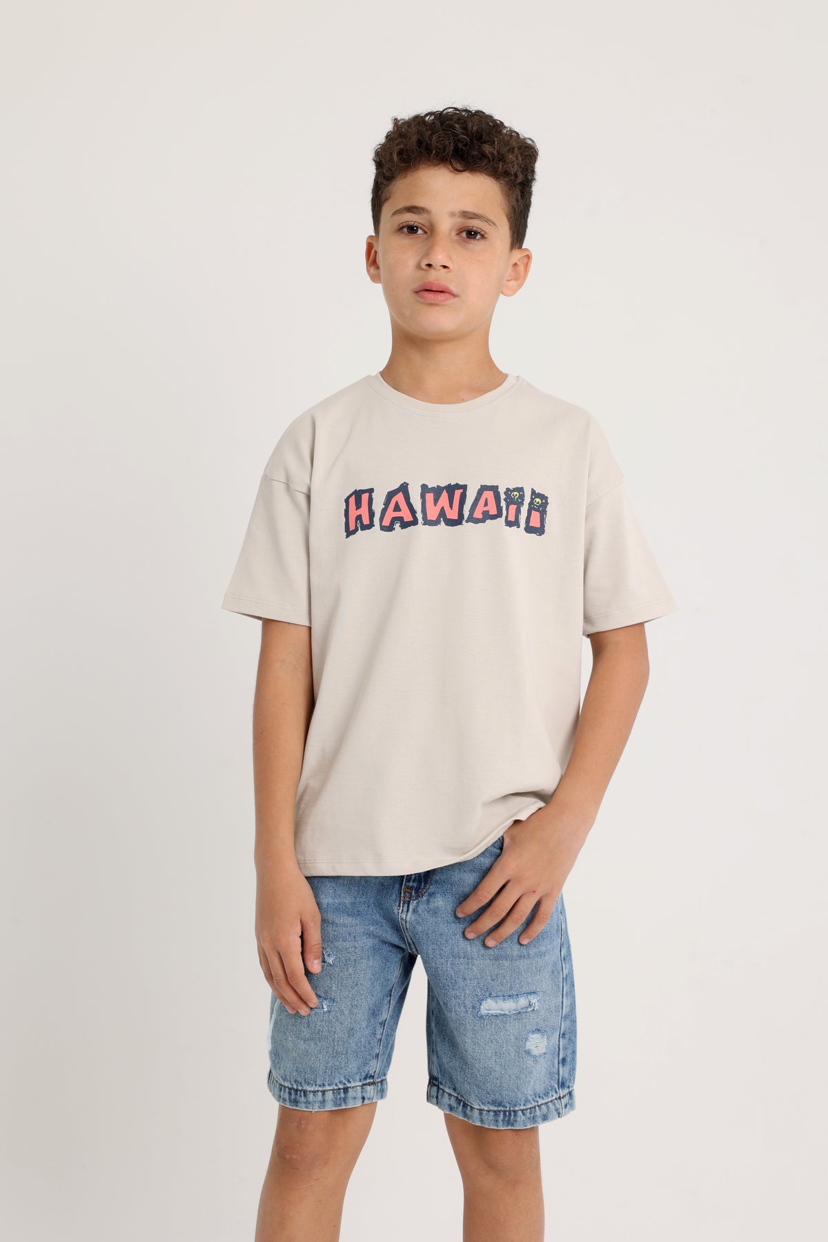 HAWAII Shark Club Grey  T-shirt