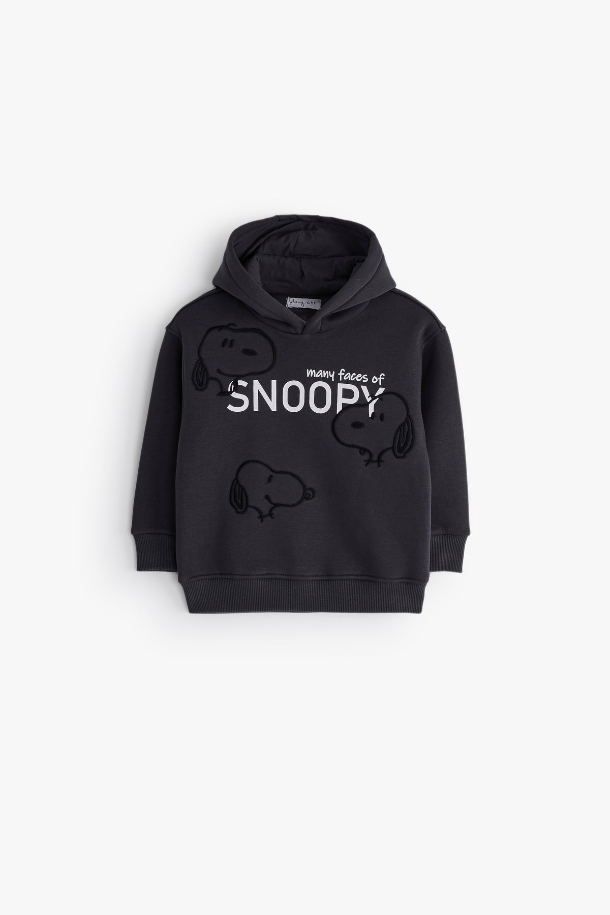 Snoopy Faces Graphic Hoodie - Irony