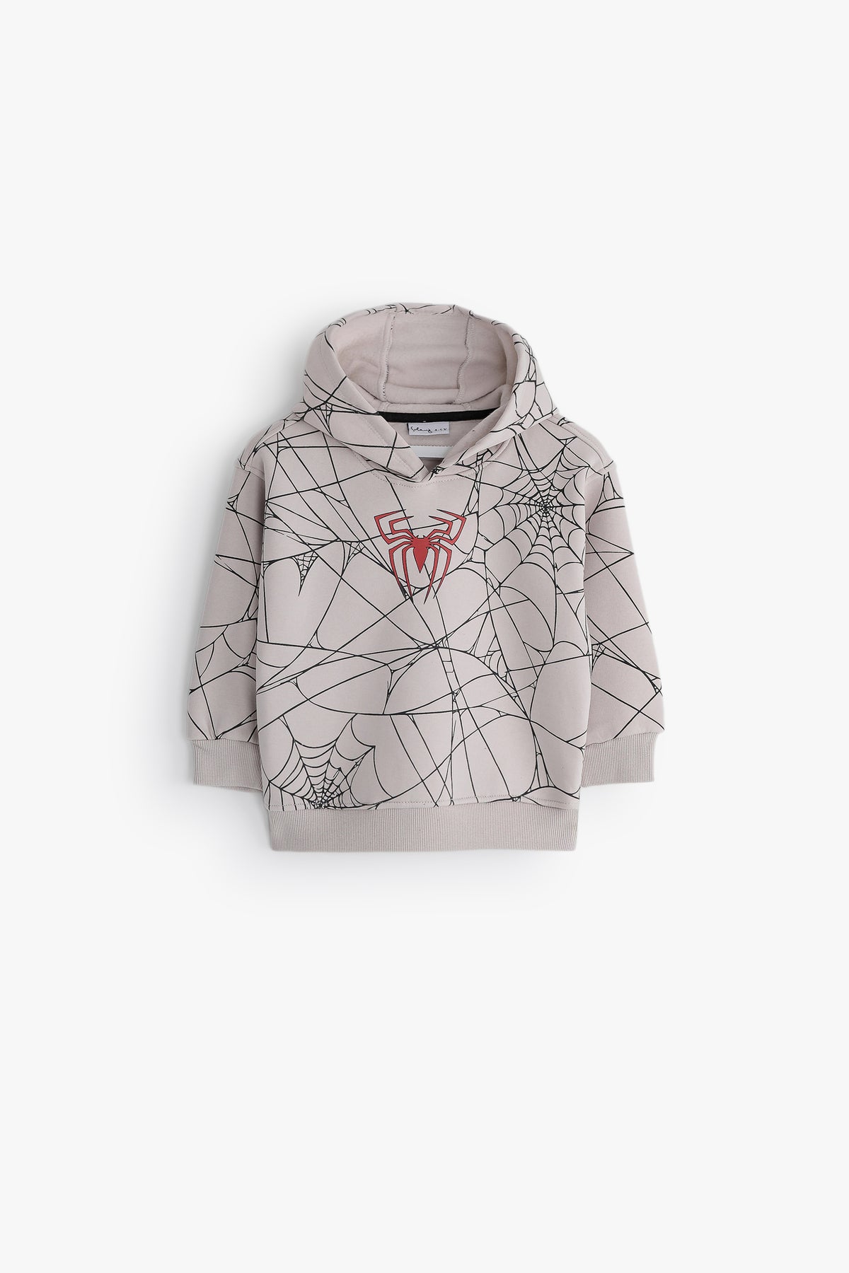Spiderman Web Boys' Swaetshirt