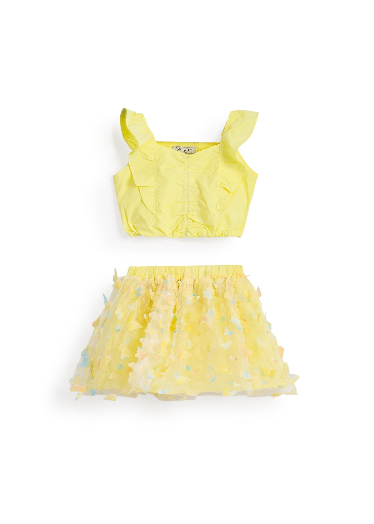 Butterfly Lace Crop Top & Skirt Set