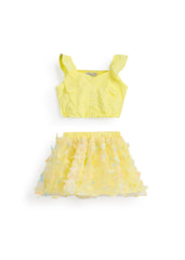 Butterfly Lace Crop Top & Skirt Set