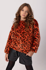 Tiger Printed Pullover