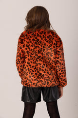 Tiger Printed Pullover